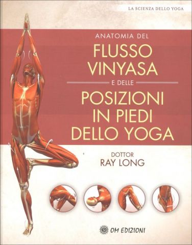 Anatomia del Flusso Vinyasa e delle Posizioni in Piedi dello Yoga